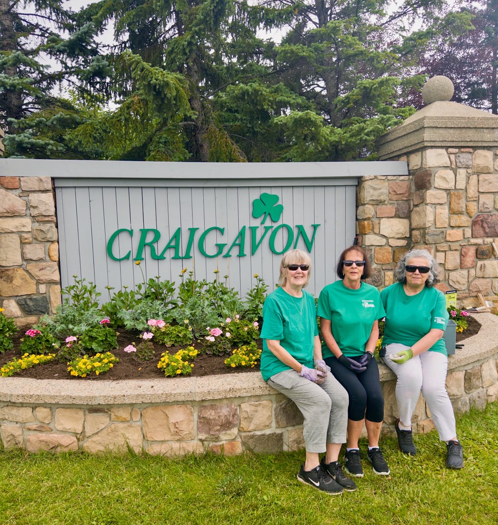 Our Public Beds are doing&nbsp;great!!!