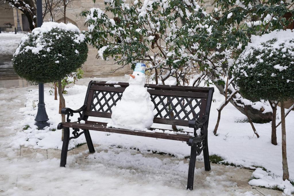 Newsletter — January 2026