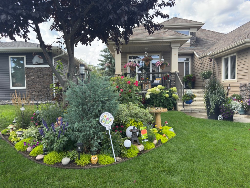 A Study in Texture and Layering in&nbsp;Ardrossan